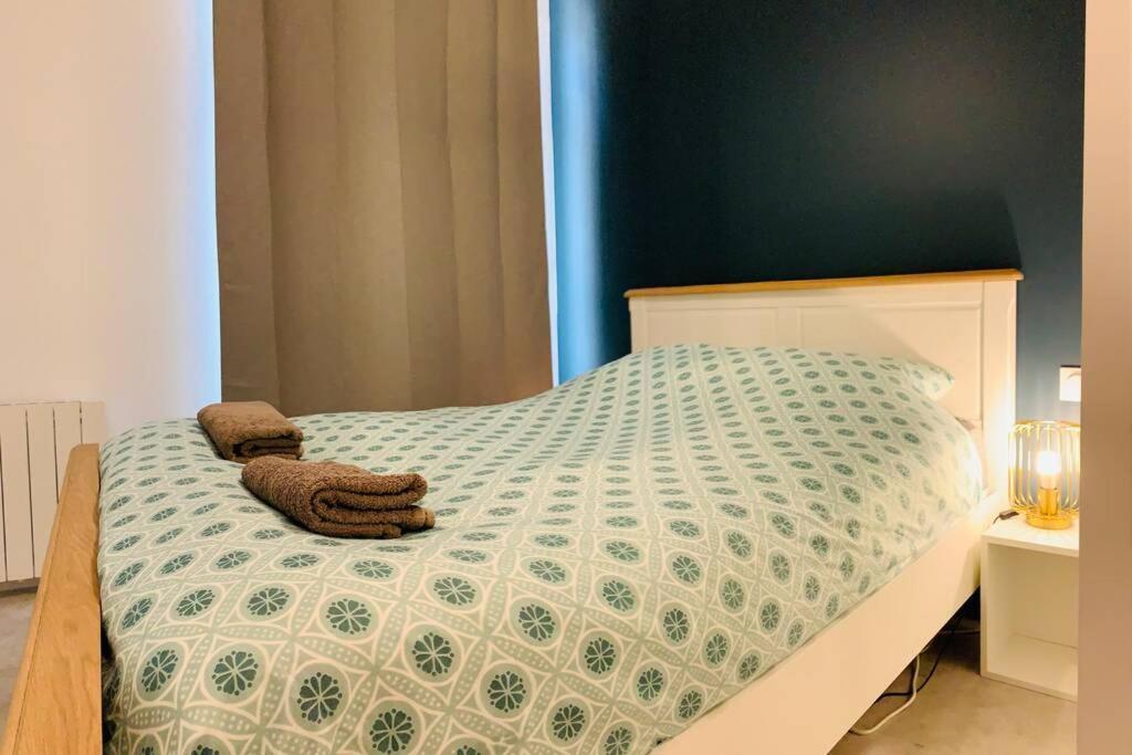 Appartement Grand Chaleureux Proche Centre - Wifi Le Mans
