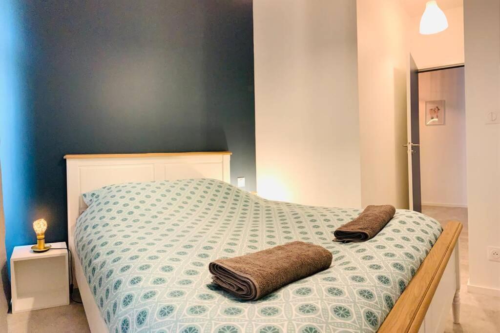 Grand Chaleureux Proche Centre - Wifi Appartement Le Mans